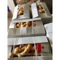 30lb Fresh Ginger on Sale